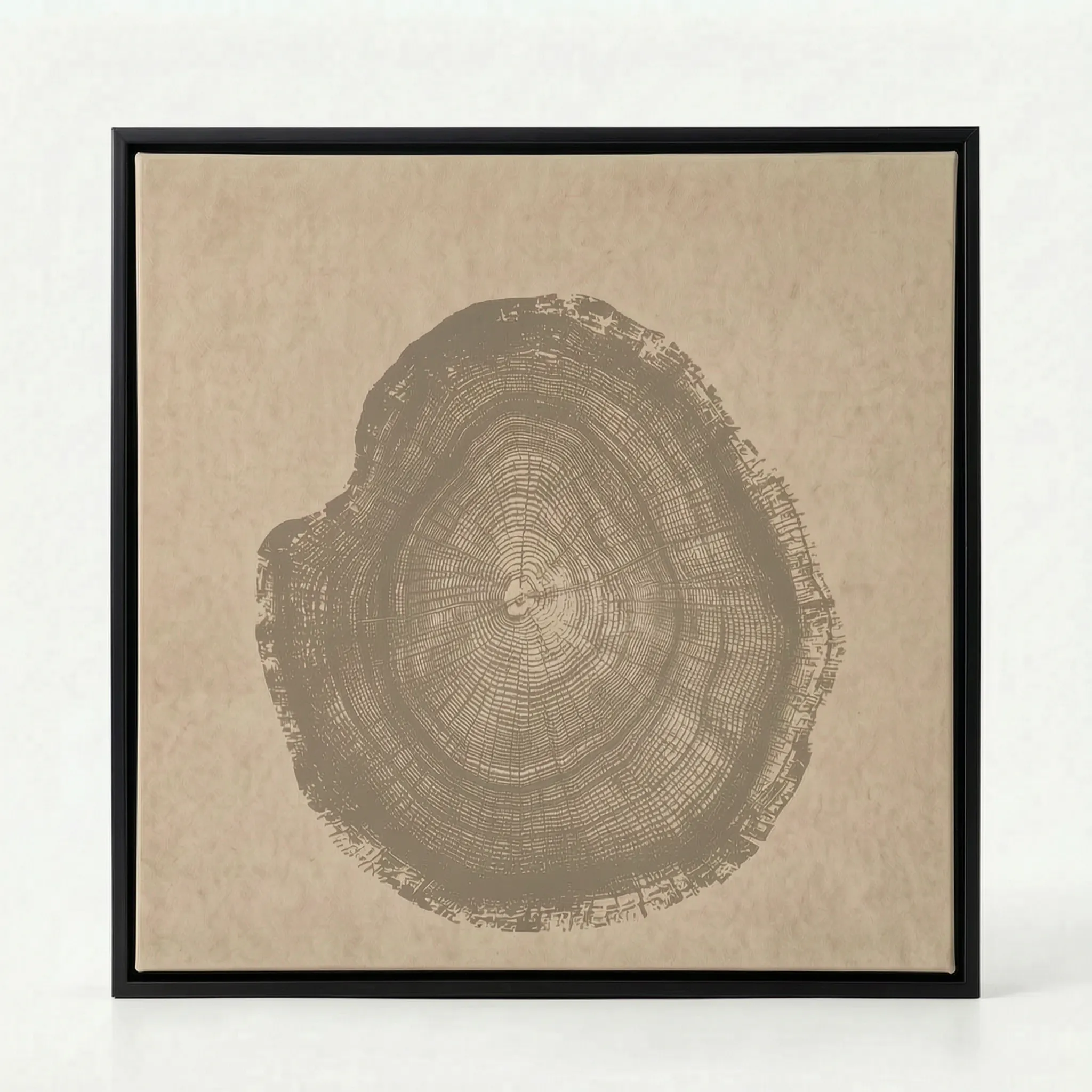 Arborium - Abstract Tree Ring Wall Art Interior Decoration