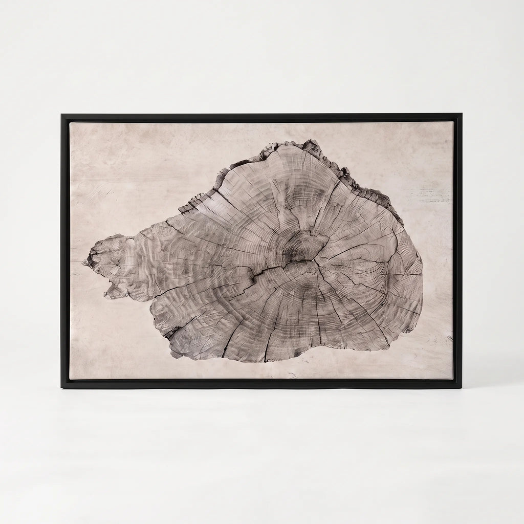 Arborium - Abstract Tree Ring Wall Art Interior Decoration
