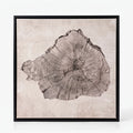 Arborium - Abstract Tree Ring Wall Art Interior Decoration