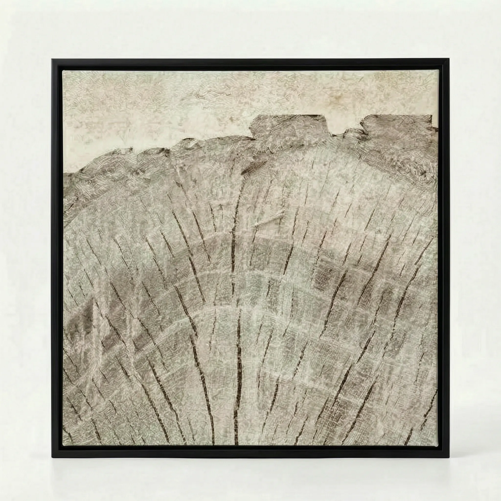 Arborium - Abstract Tree Ring Wall Art Interior Decoration