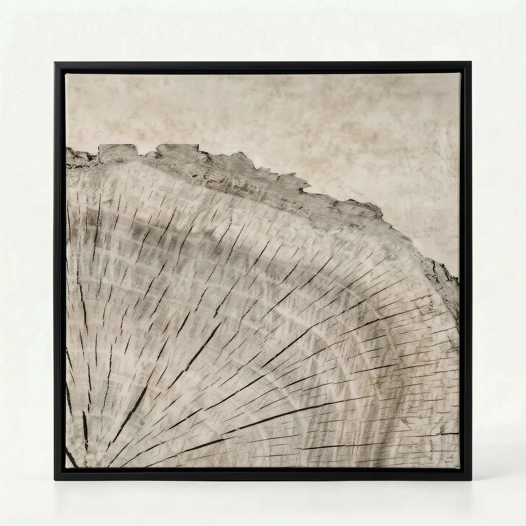Arborium - Abstract Tree Ring Wall Art Interior Decoration