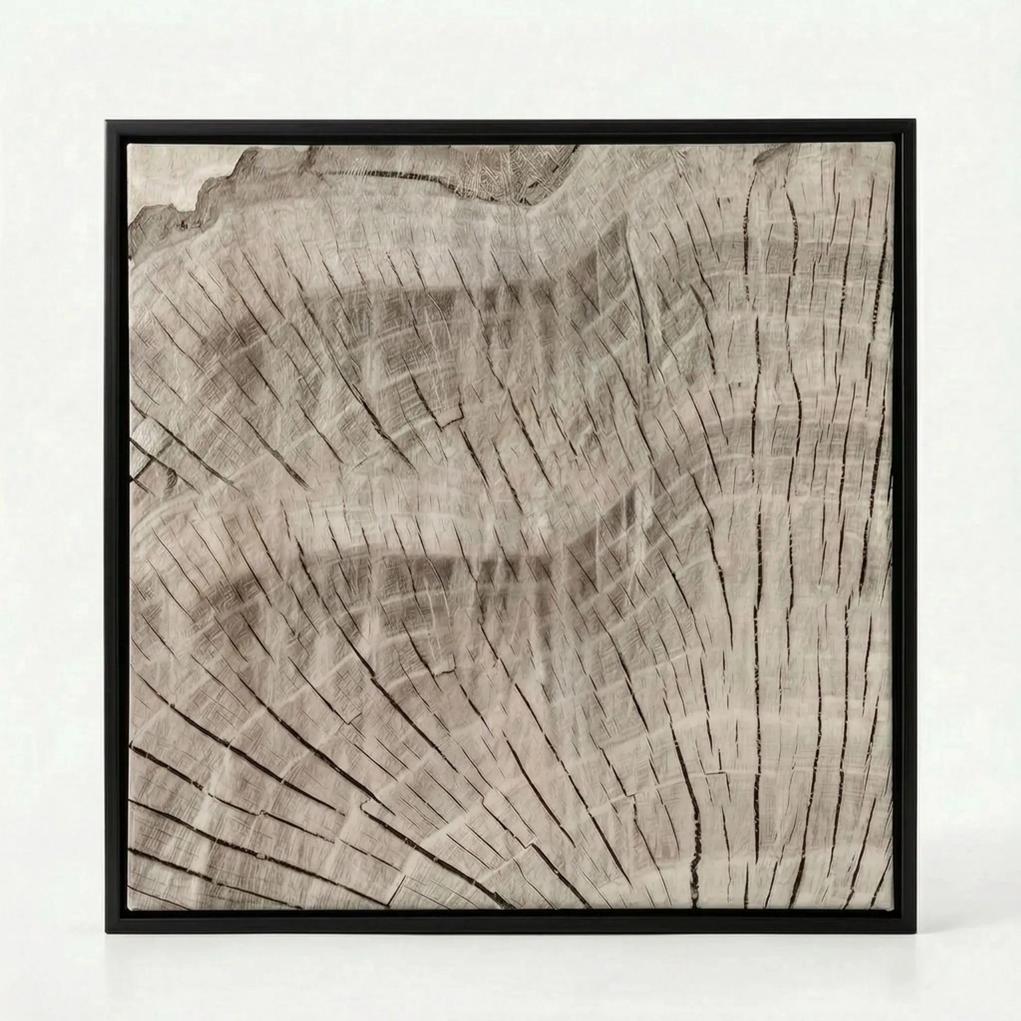 Arborium - Abstract Tree Ring Wall Art Interior Decoration