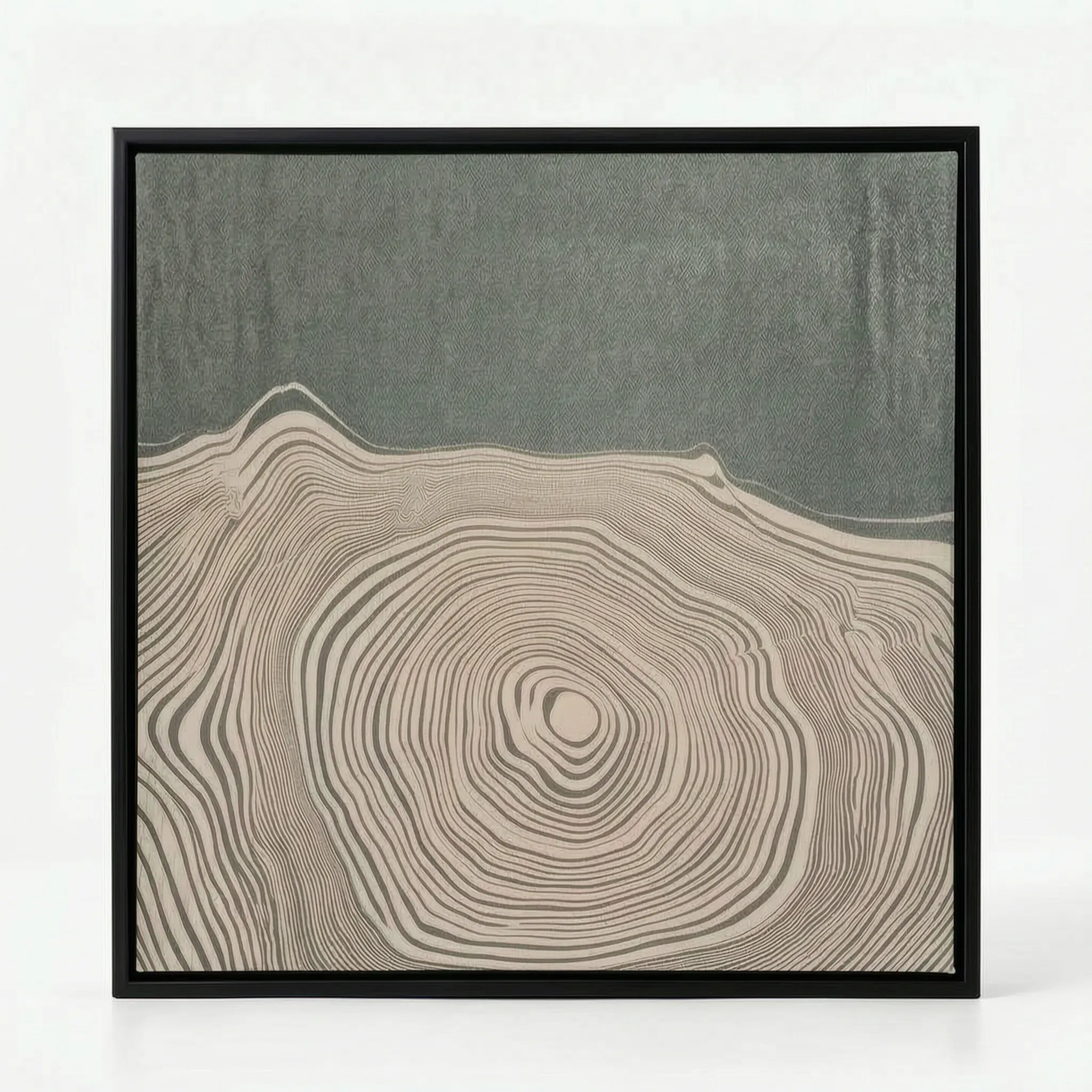 Arborium - Abstract Tree Ring Wall Art Interior Decoration